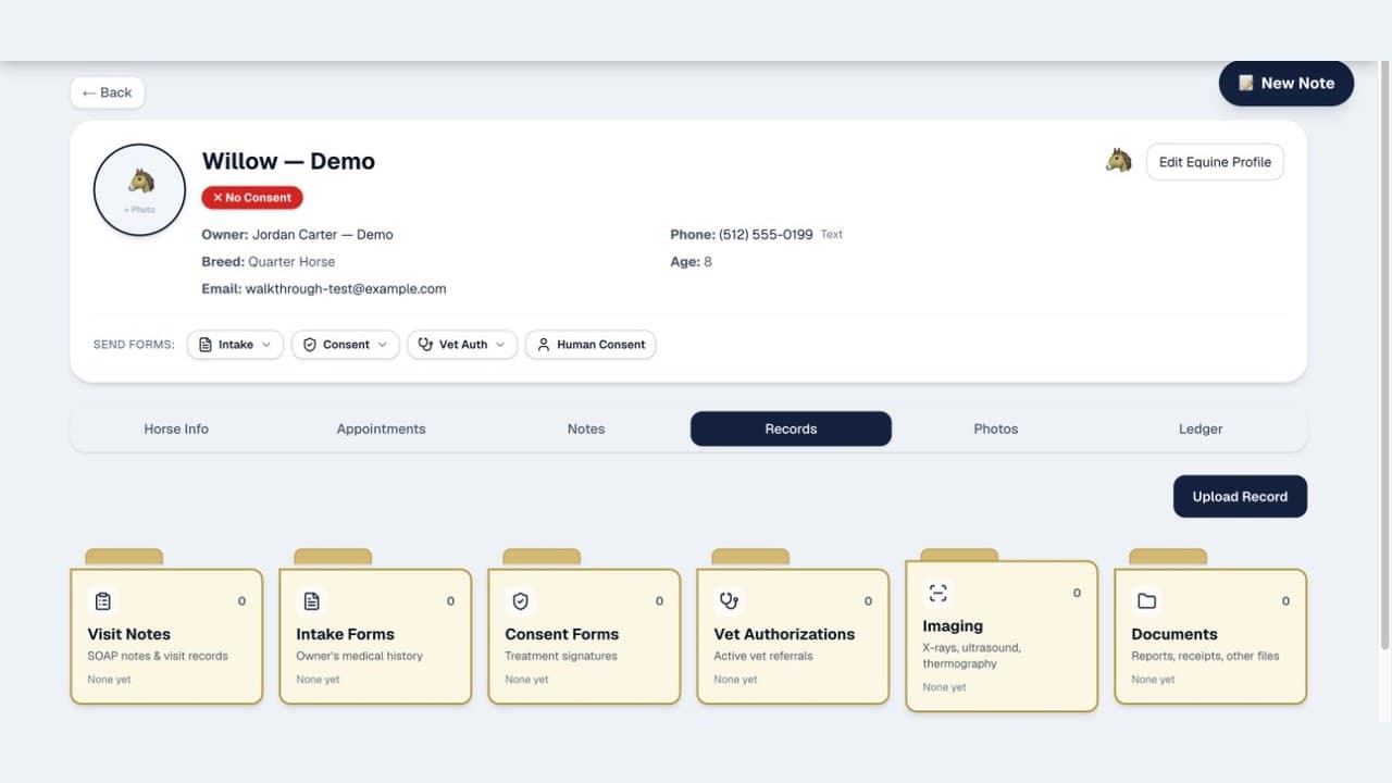 Synthetic equine patient record with visit notes, intake, consent, veterinary authorization, imaging, and document folders